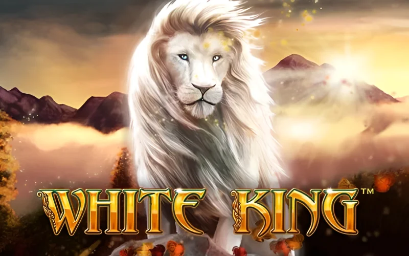 Melhor plataforma para jogar fortune tiger