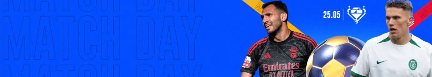 Western sydney wanderers