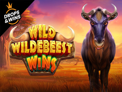 Sportsbet io login